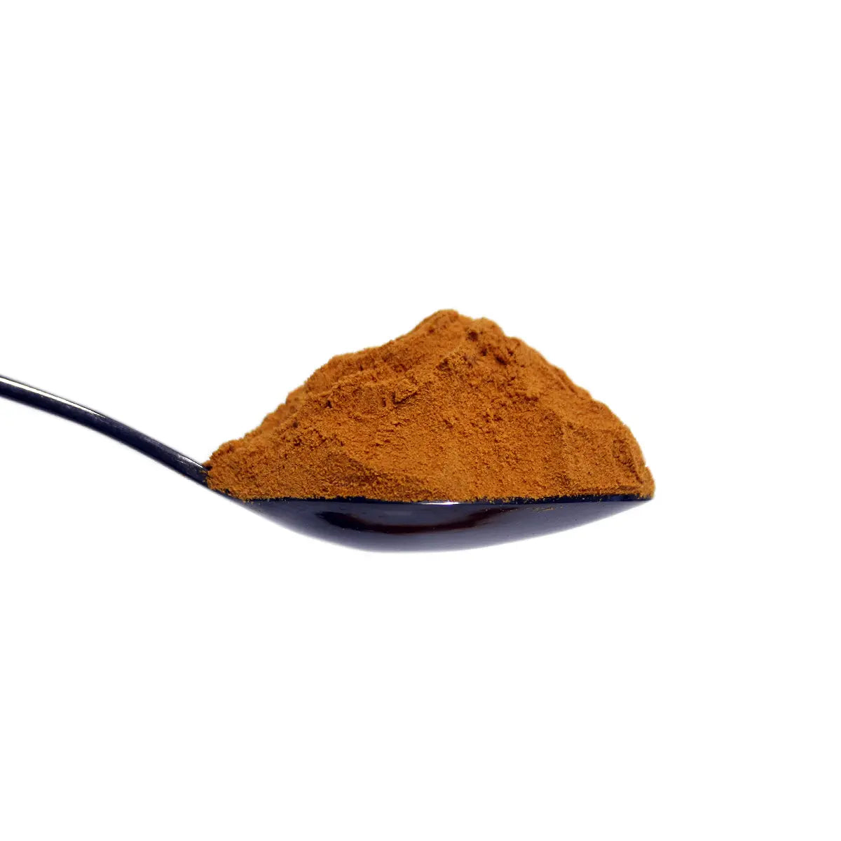 Cordyceps Mushroom Powder