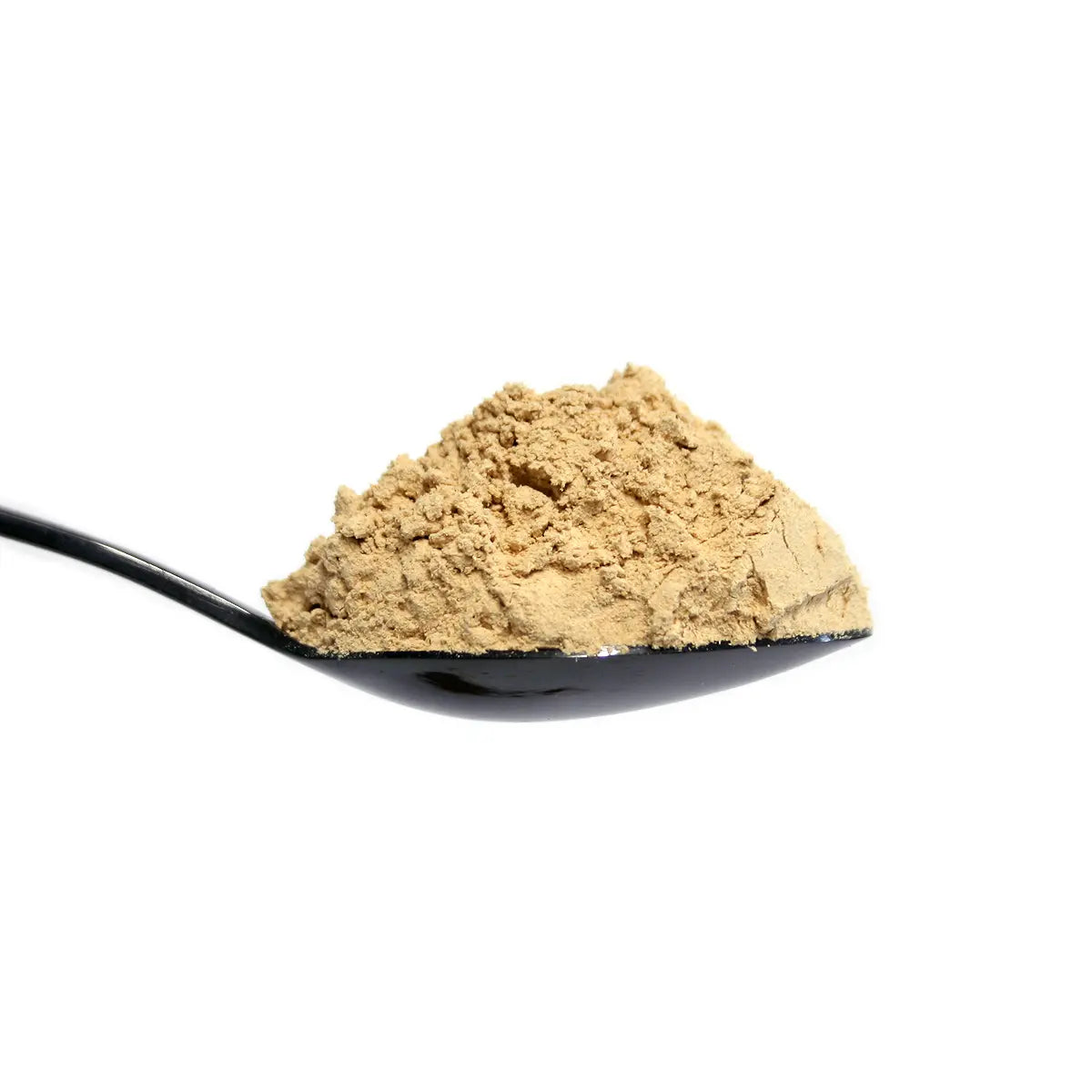 Lion's Mane Mushroom Powder